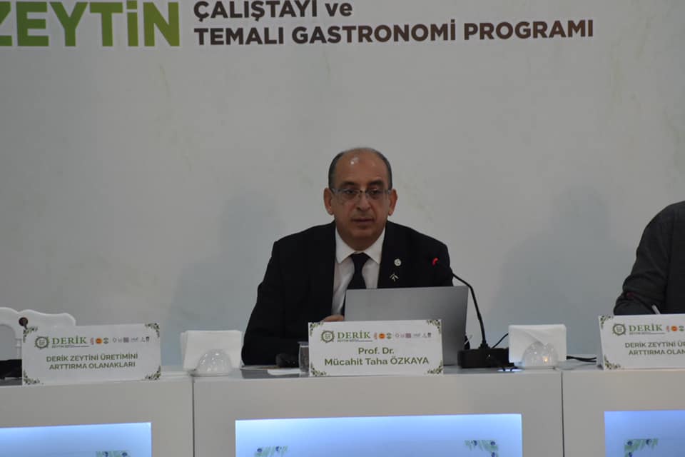 Prof. Dr. Mücahit Taha ÖZKAYA Derik Zeytini Üretimini Arttırma Olanakları ile ilgili söyleşi yaptı.